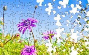 Jigsaw Puzzle Exchange