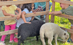 Kick-Off Party: Summer Reading Club