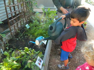 Pre-K Class: Springtime with Life Science