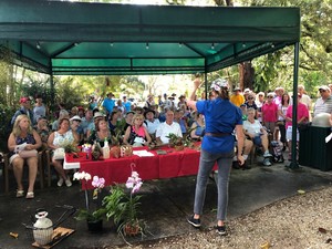 Garden Talk: Introduction to Succulent Gardening