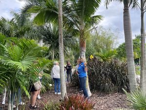 Gardening Class: Palm Reading