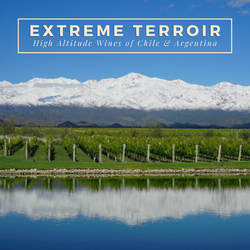 Extreme Terroirs: High-Altitude Wines of Argentina and Chile