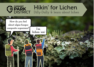 Hikin' for Lichen