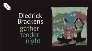 Diedrick Brackens: gather tender night