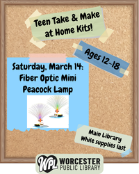 Teen Take & Make Craft Kits