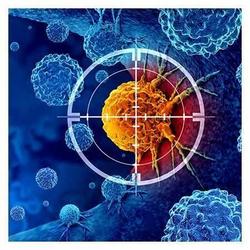Emerging Technologies in the Fight Against Cancer - Targeted Therapies, Personalized Medicine, and A
