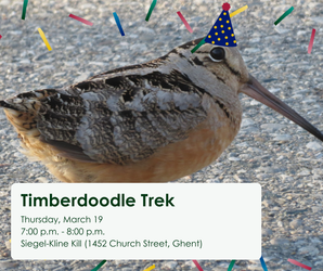 TImberdoodle Trek