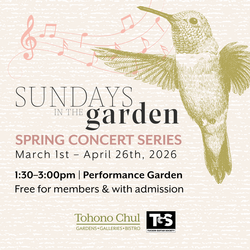 Sundays in the Garden