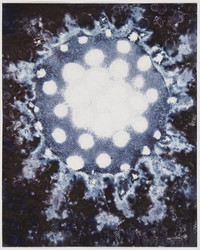 Tracing Light; Cameraless Photography by Anne Arden McDonald