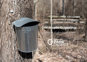 DIY Maple Demonstration