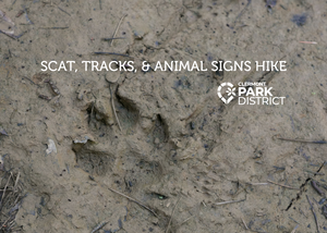 Scat, tracks, and animal signs hike