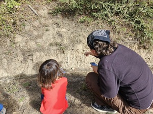 Family Nature Adventures: Insects