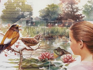 Nature Book and Look