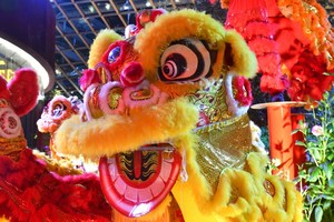 San Francisco Lunar New Year Celebration | Lion Dance & Martial Arts