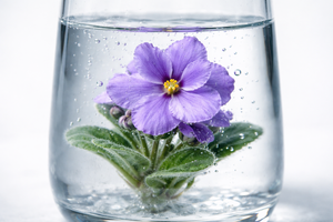 Underwater Floral Design at the Orchard Park Garden Club Meeting