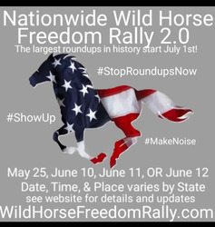 Nationwide Wild Horse Freedom Rally Virginia