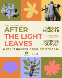 After the Light Leaves