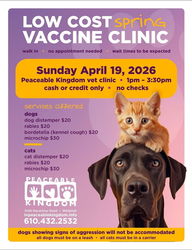 Low-Cost Spring Vaccine & Microchip Clinic