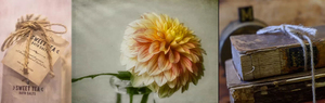 Photo Workshop: Learn to Shoot Creative Still Life