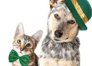 Shamrock & Pawprints