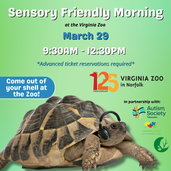 Sensory Friendly Morning