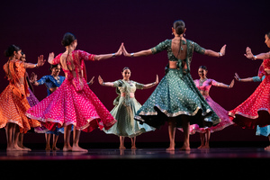 The Sa Dance Company