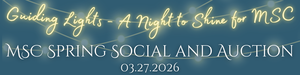 Guiding Lights - A Night to Shine for The Montessori School of Columbia