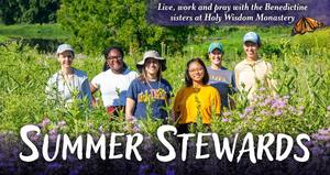Summer Stewards