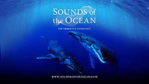 Mindful Moments: Sounds of the Ocean: A Mindful Underwater Journey with Live Music
