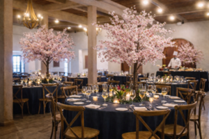 Beneath the Cherry Blossoms: A Dinner Experience At Wente Family Vineyards