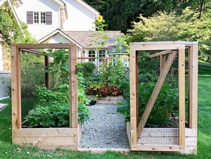 Vegetable Garden Planning: Techniques for a Successful Season - With Mary Buri