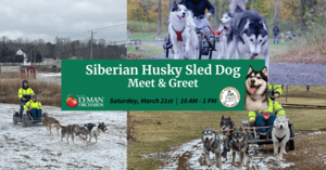 Siberian Husky Sled Dog Meet & Greet with Connecticut Valley Siberian Husky Club