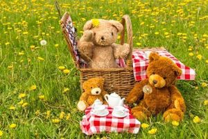 Teddy Bear Picnic at Foothills Park