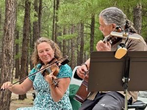 A Sunday Afternoon of Music: Wild Irish Fiddle