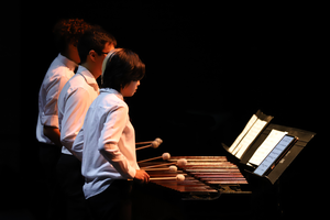 Pima Percussion Ensemble Spring Concert