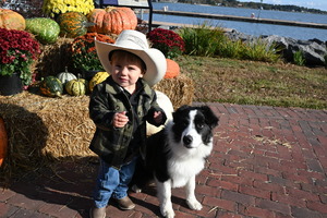 Yorktown Market Days - Paws at the River