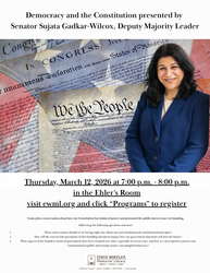 Democracy and the Constitution