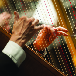 Marin Symphony Chamber Concert: Winds vs. Strings