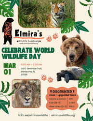 Celebrate World Wildlife Day with Lions, Tigers and Bear!