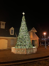 Christmas Tree Lighting