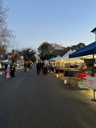 An Enchanted Evening on Main Street