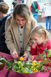 Yorktown Market Days – Mistletoe Market