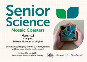 Senior Science: Mosaic Coasters