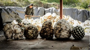 Kachina Cantina x Toro: A Mezcal Dinner