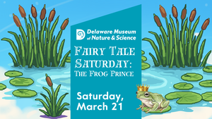 Fairytale Saturday: The Frog Prince