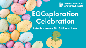EGGsploration Celebration: The Science of Eggs