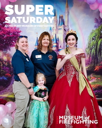 Princess & Protector Party