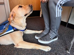 Family Storytime with Twinkle the Service Dog