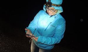 Amphibian Monitor Volunteer Info Session