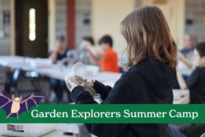 Garden Explorers Summer Camp: Bees, Bats, and Butterflies | Week 2: July 13 - 17